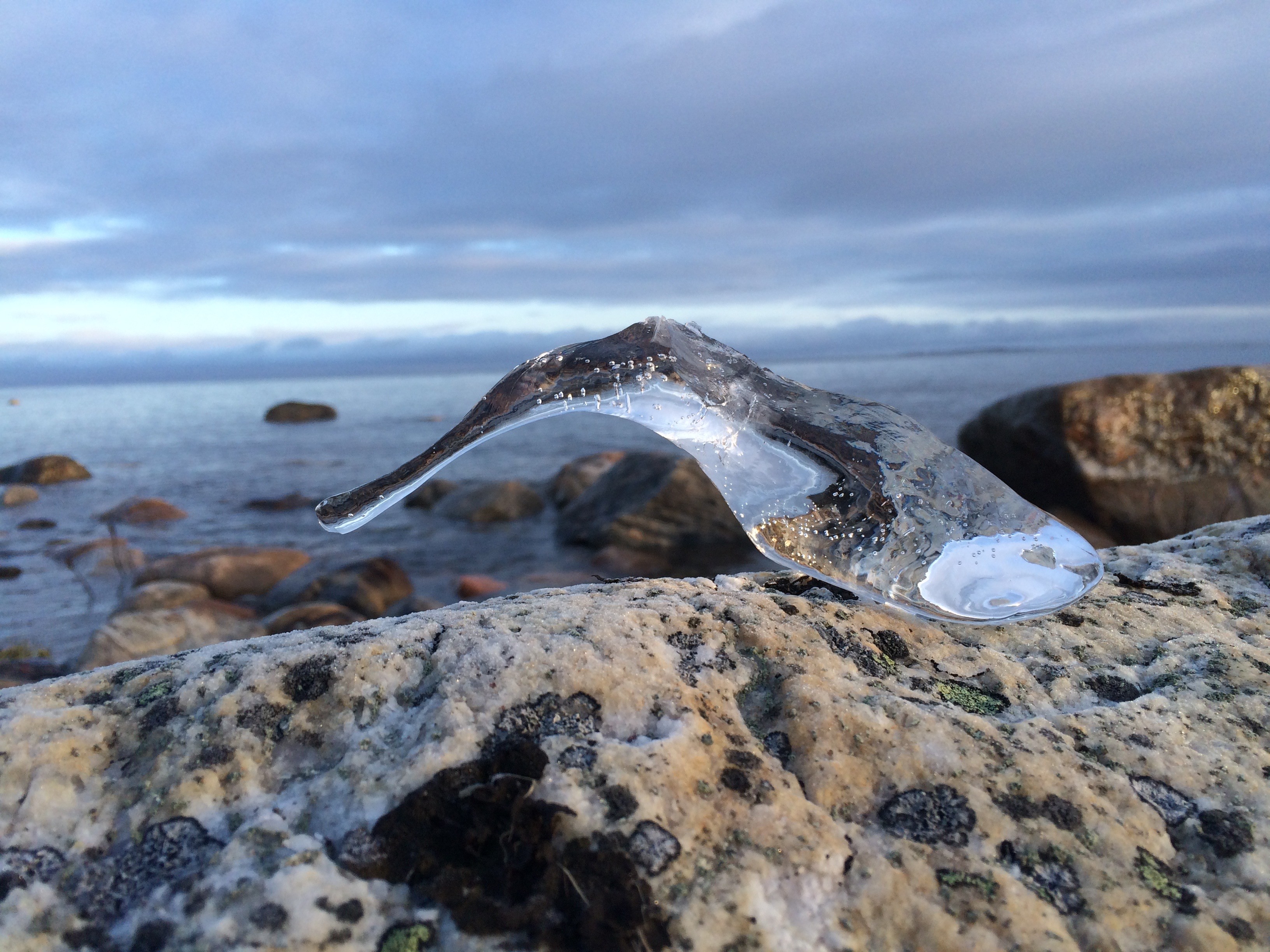 Myrspoven ice sculpture